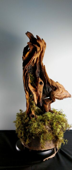 69cda778-0456-458d-89e4-2ef62c7b42db (2)