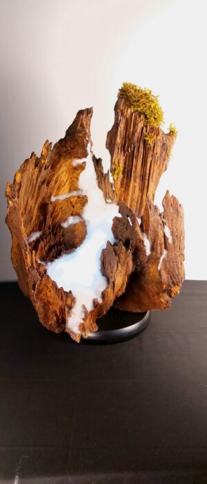 9fb5c24c-796b-4cbd-8469-5f7c5d6ec5ee (1)