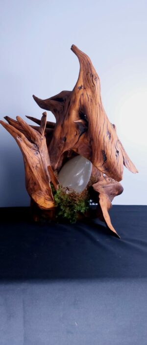 aa64e9ae-1a7f-4a37-ada1-43e7a8bdf276 (1)